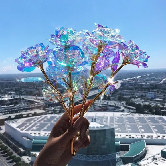 Galaxy Rose - Picture 1 of 3